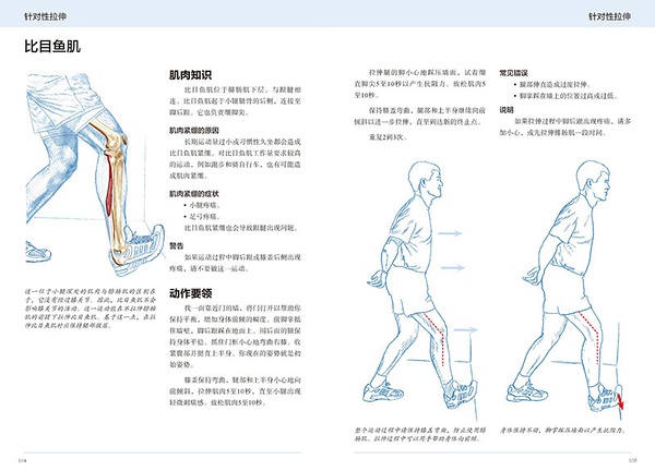 比目鱼肌1