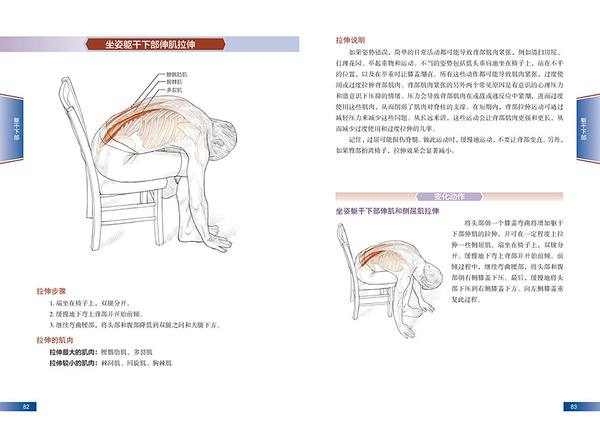 坐姿躯干下部伸肌拉伸1