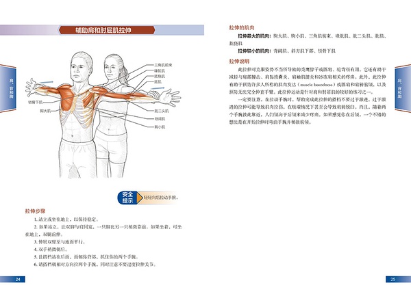 辅助肩和肘屈肌拉伸1