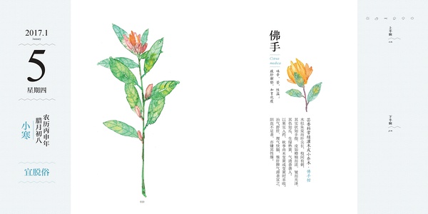 佛手1
