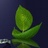 ufly